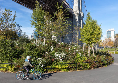 The Fascinating Connection Between Water Street and Other Parts of NYC